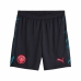 Herren-Sportshorts Puma Manchester City 23/24 Second Kit Replica