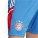 Meeste Lühikesed Spordipüksid Adidas FC 	Bayern München