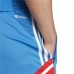 Pantaloni Scurți Sport pentru Bărbați Adidas FC 	Bayern München