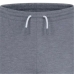 Спортивные штаны для детей Jordan Jumpman Sustainable Серый