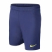 Miesten urheilushortsit Nike FC. Barcelona Sininen