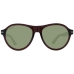 Gafas de Sol Hombre Serengeti SS527004 56