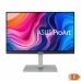 Écran Asus PA247CV Full HD 23,8