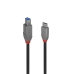 Kabel USB-C naar USB B LINDY 36666 1 m