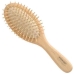 Brosse Démêlante Steinhart