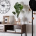 Decoratieve plant Versa