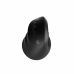 Souris Natec NMY-2049 Noir Multicouleur