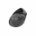 Mouse Natec NMY-2049 Negru Multicolor