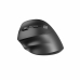 Souris Natec NMY-2049 Noir Multicouleur