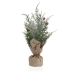 Decoratieve plant Versa Plastic