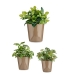 Комплект Саксии за цветя Ibergarden Cónica Ø 14 cm Ø 22 cm Ø 17 cm Пластмаса 30 x 40 cm 3 Части (3 Части)