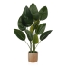 Decoratieve plant Versa Plastic