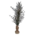 Decoratieve plant Versa Plastic