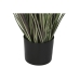 Decoratieve plant Home ESPRIT Plastic