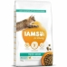 Cibo per gatti IAMS 150550 Pollo 10 kg