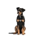 Collare per Cani Hunter Swiss Marrone Nero M 55 cm