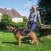 Koiran kaulapanta Hunter Swiss Ruskea Musta M 55 cm