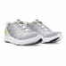 Running Shoes for Adults Under Armour Charged Speed Swift Light grey