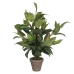 Plantă decorativă Mica Decorations Hosta Verde PVC (15,5 x 65 cm)