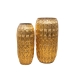 Conjunto de 2 Vasos Alexandra House Living Dourado Metal 49 x 92 x 49 cm (2 Peças)