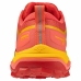 Scarpe da Running per Adulti Mizuno Mizuno Wave Ibuki 4 Rosso