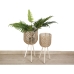 Set of Planters Romimex Rattan Legs (2 Pieces)