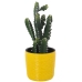 Set de pots de fleurs Alexandra House Living Jaune Céramique (3 Pièces)