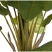 Decorative Plant Alexandra House Living Plastic Banana plant 23 x 234 x 23 cm