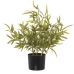 Dekorativ Plante Alexandra House Living Plast Bambus 14 x 14 x 54 cm