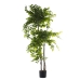 Decorative Plant Alexandra House Living Plastic Fig Tree 18 x 22 x 162 cm