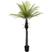 Dekorativ plante Alexandra House Living Plastik Palmera 180 cm