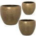 Set de pots de fleurs Alexandra House Living Doré Céramique (3 Pièces)