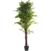 Pianta Decorativa Alexandra House Living Plastica Ficus 16 x 16 x 162 cm