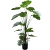 Dekor növény Alexandra House Living Műanyag Calathea 150 cm