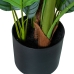 Dekorativ Plante Alexandra House Living Plast Calathea 150 cm