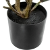 Decoratieve plant Alexandra House Living Plastic Ek 50 cm