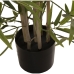 Decoratieve plant Alexandra House Living Plastic Bamboe 15 x 15 x 162 cm