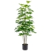 Dekorativ plante Alexandra House Living Plastik Schefflera 125 cm