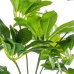 Pianta Decorativa Alexandra House Living Plastica Schefflera 125 cm