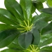 Pianta Decorativa Alexandra House Living Plastica Schefflera 125 cm