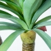 Plante décorative Alexandra House Living Plastique yucca 120 cm