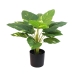 Plante décorative Alexandra House Living Plastique 50 cm