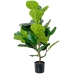 Dekorativ Plante Alexandra House Living Plast Fig 90 cm