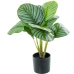 Dekorativní rostlina Alexandra House Living Plastické Calathea 50 cm