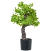 Dekoratīvs Augs Alexandra House Living Plastmasa Euonymus 45 cm