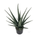 Dekoratiivne Taim Alexandra House Living Plastmass Aloe vera 11 x 11 x 39 cm