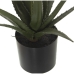 Dekorativ plante Alexandra House Living Plastik Aloe Vera 11 x 11 x 39 cm