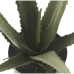 Dekorativ plante Alexandra House Living Plastik Aloe Vera 11 x 11 x 39 cm