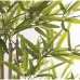 Декоративное растение Alexandra House Living Пластик Бамбук 14 x 14 x 112 cm