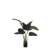 Plantă decorativă Alexandra House Living Plastic Arborele călătorului 13 x 22 x 112 cm